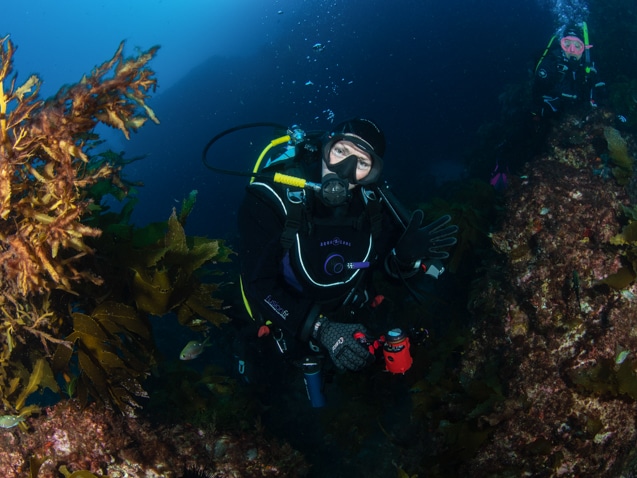 Poor Knights islands