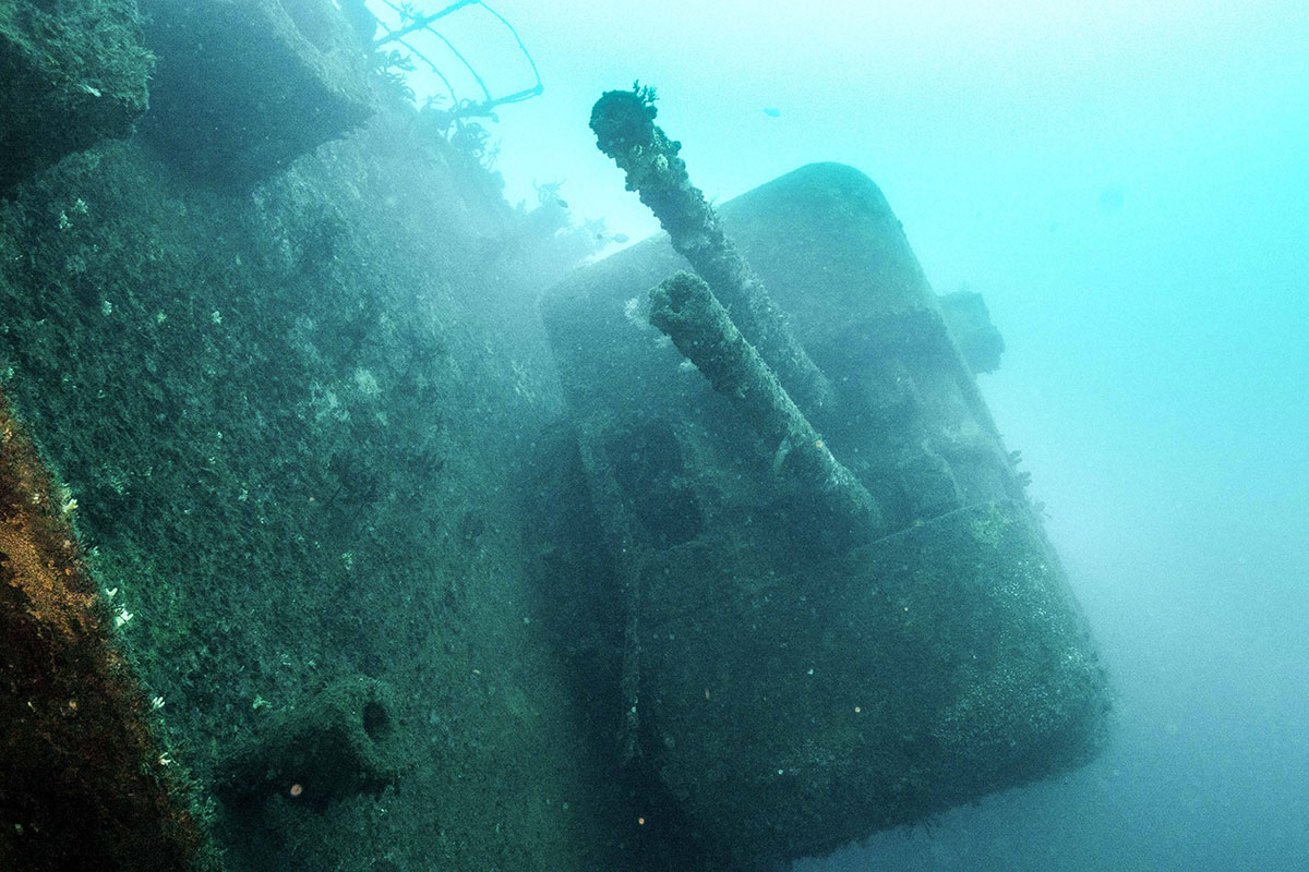 Waikato Wreck Dive - Dive Now