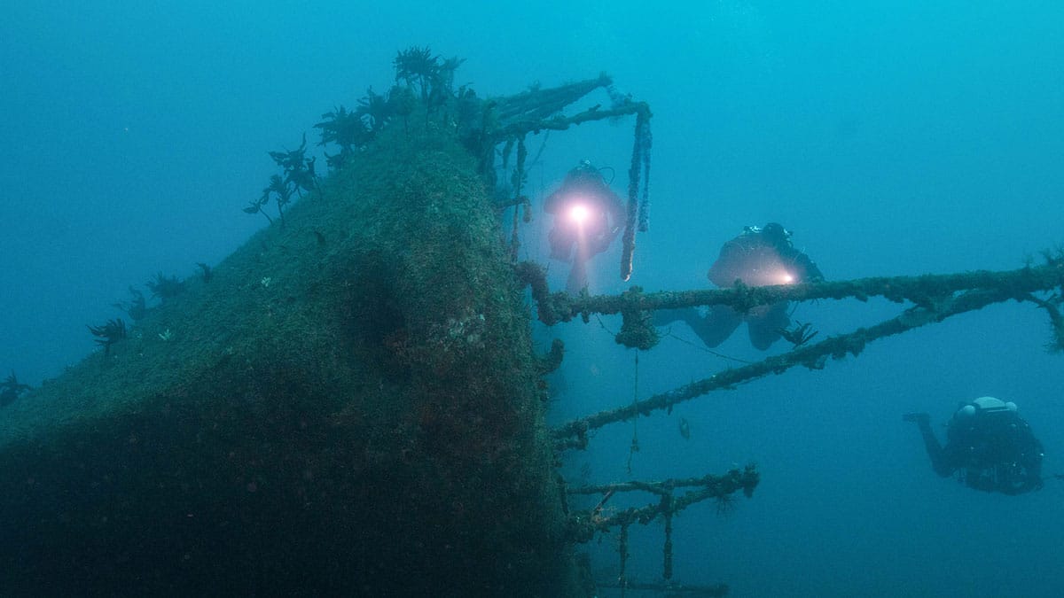 Waikato Wreck Dive - Dive Now