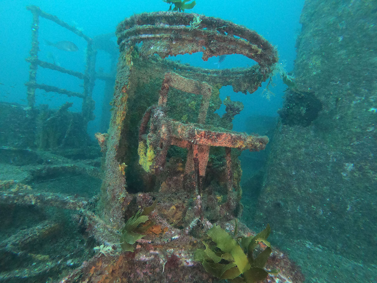 Waikato Dive Site