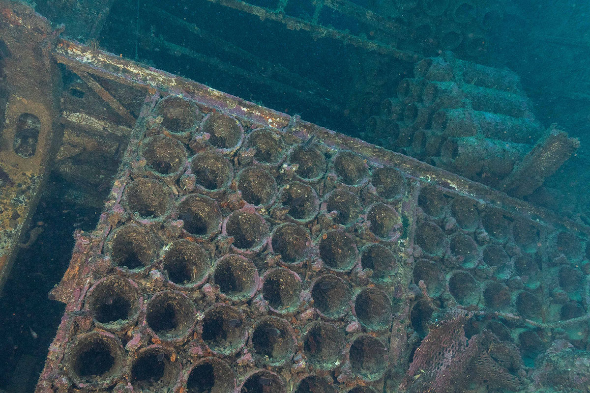 Waikato Wreck Dive