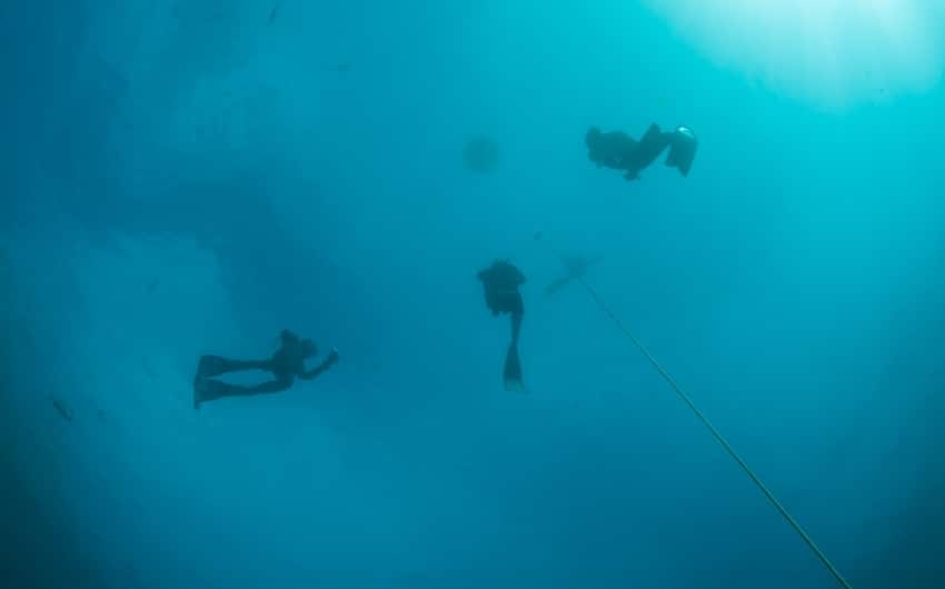 SSI FREEDIVER LEVEL 1 INSTRUCTOR