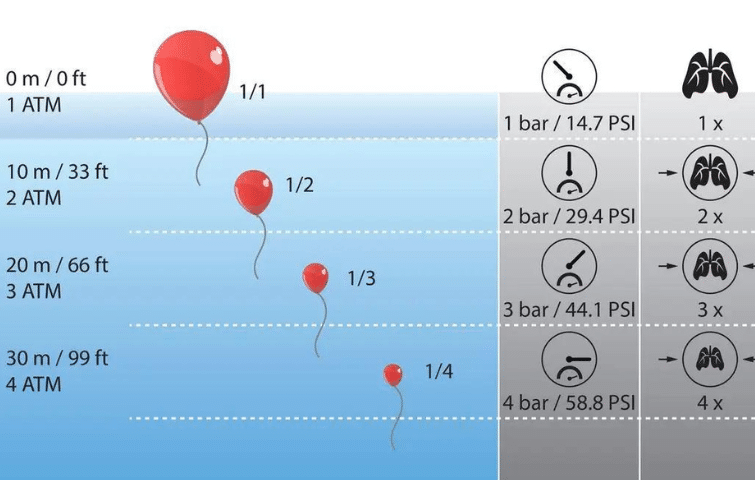 SCIENCE OF DIVING