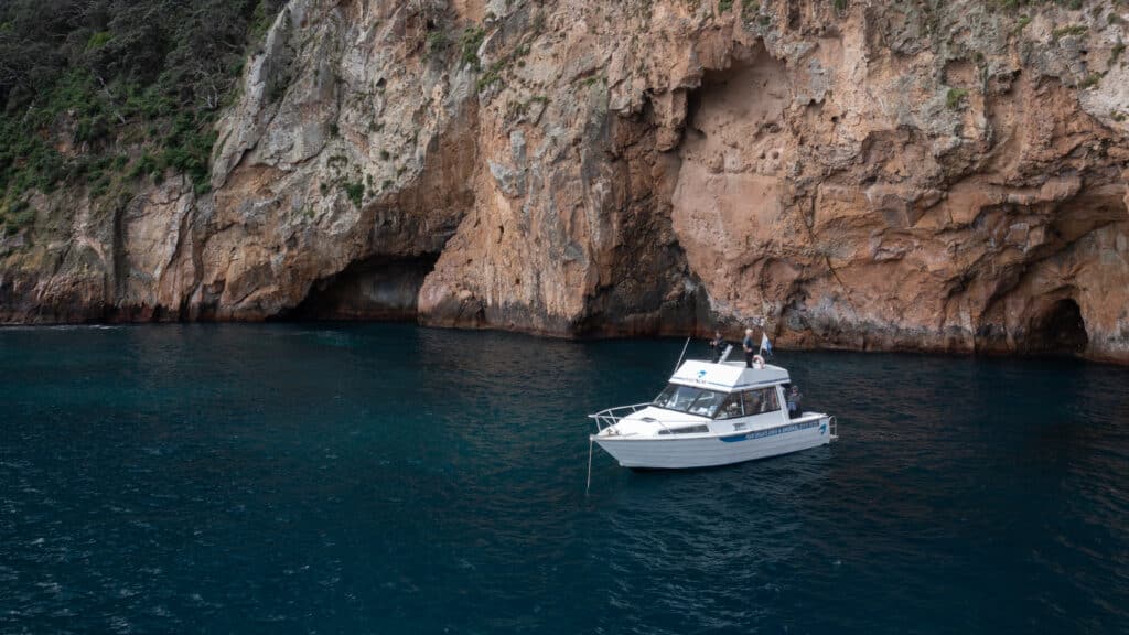 Diving the Poor Knights Islands Marine Reserve